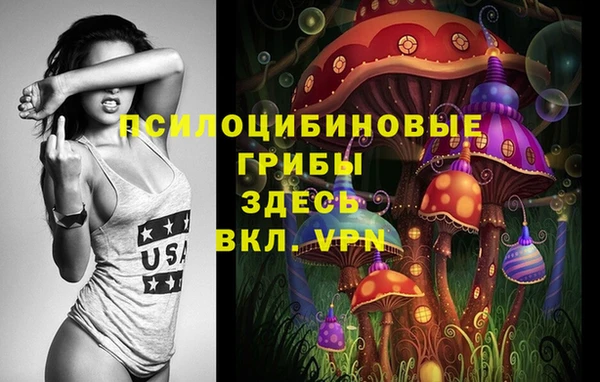 гидра Балахна