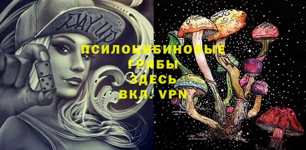 гидра Балахна
