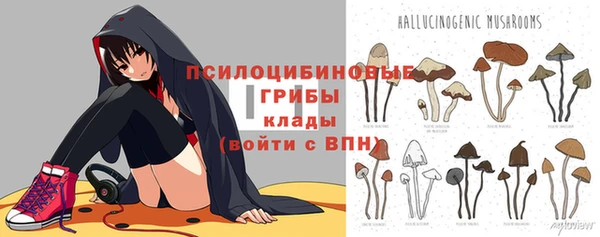 ALPHA PVP Баксан