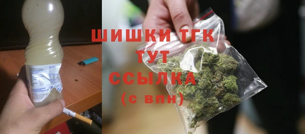 гидра Балахна